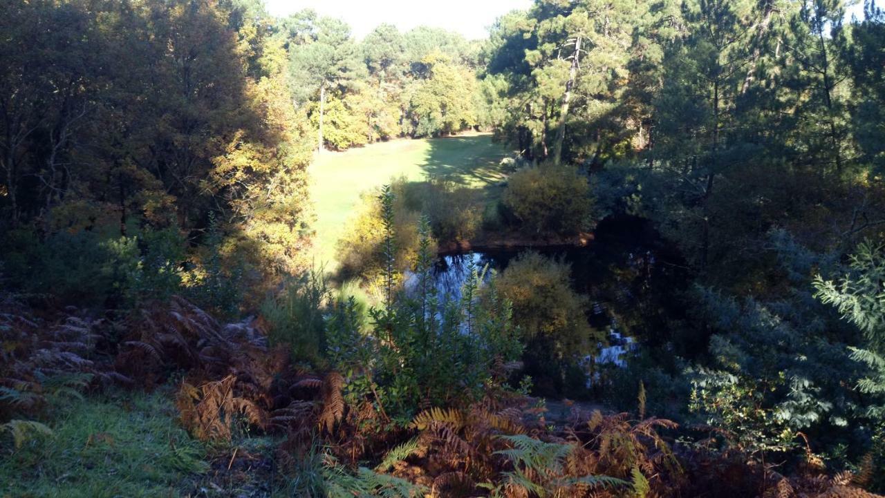 Villa La Grange et Le Nid à Biscarrosse Extérieur photo